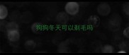 狗狗冬天可以剃毛吗