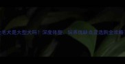 金毛犬是大型犬吗深度体型饲养优缺点及选购全攻略