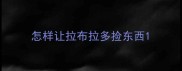怎样让拉布拉多捡东西