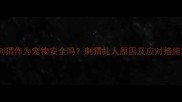 刺猬作为宠物安全吗刺猬扎人原因及应对措施