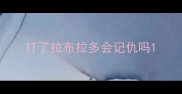 打了拉布拉多会记仇吗