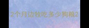 2个月边牧吃多少狗粮