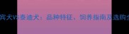 贵宾犬VS泰迪犬品种特征饲养指南及选购全