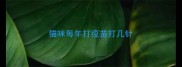 猫咪每年打疫苗打几针