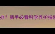 两个月小猫睡觉多怎么办新手必看科学养护指南附24小时作息表