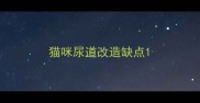 猫咪尿道改造缺点