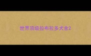 世界顶级拉布拉多犬舍