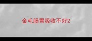 金毛肠胃吸收不好