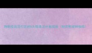 狗狗疫苗没打完的5大隐患及补救措施附完整接种指南