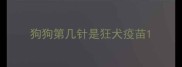 狗狗第几针是狂犬疫苗