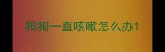 狗狗一直咳嗽怎么办
