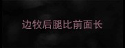 边牧后腿比前面长