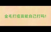 金毛打疫苗能自己打吗
