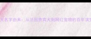 泰迪犬名字由来从法国贵宾犬到网红宠物的百年演变史