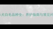 拉布拉多犬白毛品种全养护指南与常见问题解答