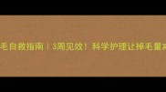边牧掉毛自救指南3周见效科学护理让掉毛量减少80