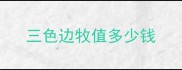 三色边牧值多少钱