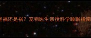 狗狗和人一起睡是福还是祸宠物医生亲授科学睡眠指南附真实案例