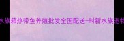 专业定制水族箱热带鱼养殖批发全国配送-时新水族宠物有限公司