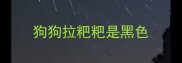 狗狗拉粑粑是黑色