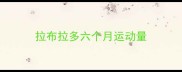 拉布拉多六个月运动量