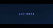 昆明边牧哪里有卖