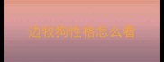 边牧狗性格怎么看