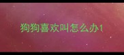 狗狗喜欢叫怎么办