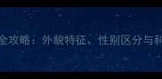 哈士奇幼犬全攻略外貌特征性别区分与科学养护指南