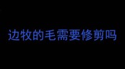 边牧的毛需要修剪吗