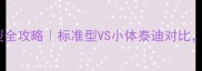 泰迪犬体型全攻略标准型VS小体泰迪对比养前必看