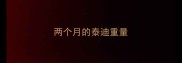 两个月的泰迪重量
