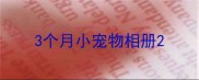 3个月小宠物相册