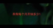 养狗每个月开销多少