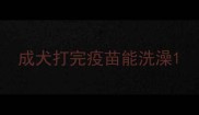 成犬打完疫苗能洗澡