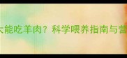 哈士奇多大能吃羊肉科学喂养指南与营养配比全