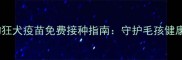 闵行区宠物狂犬疫苗免费接种指南守护毛孩健康必看攻略