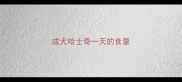 成犬哈士奇一天的食量