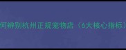 如何辨别杭州正规宠物店6大核心指标