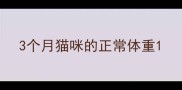 3个月猫咪的正常体重