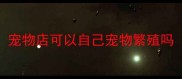 宠物店可以自己宠物繁殖吗