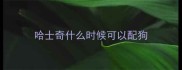 哈士奇什么时候可以配狗