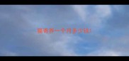 猫寄养一个月多少钱