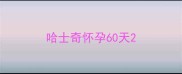 哈士奇怀孕60天