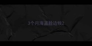 3个月海盗脸边牧