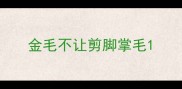 金毛不让剪脚掌毛
