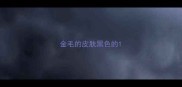 金毛的皮肤黑色的
