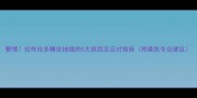 警惕拉布拉多睡觉抽搐的5大原因及应对措施附兽医专业建议