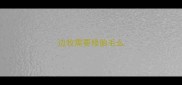 边牧需要修胎毛么