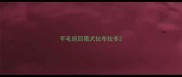 平毛巡回猎犬拉布拉多